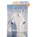 The Winter Pony