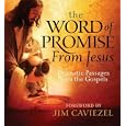 Word of Promise from Jesus: Dramatic Passages from the Gospels by Jim Caviezel