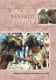 Sacred Buffalo People
