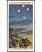 Photographic Prints of Southern Cross Constell from Mary Evans