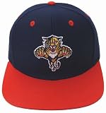 Florida Panthers Retro Hat Cap Snapback Logo 2 Tone