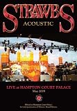 The Strawbs: Live at Hampton Court Palace: May 2009