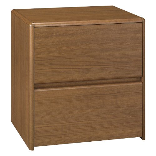 BUSH FURNITURE Bush Furniture Northfield 2-Drawer Wood Lateral File Cabinet, Dakota Oak On Sale