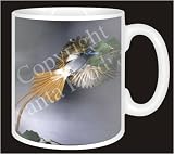 Review Advanta  / HUMMING BIRD Coffee Mug