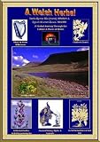A Welsh herbal : a herbal journey through the culture & places of Wales