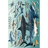 Safari LTD Sharks Laminated Poster