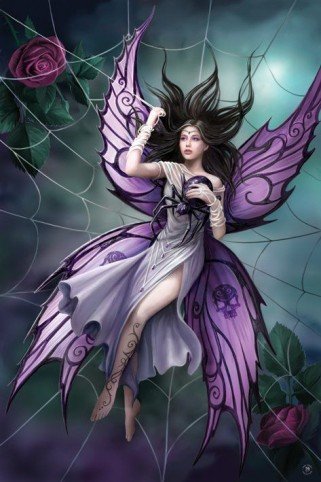 1art1 50204 Gothic - Mitternachtsfee In Spinnen-Netz, Anne Stokes Poster 91 x 61 cm Preisvergleich