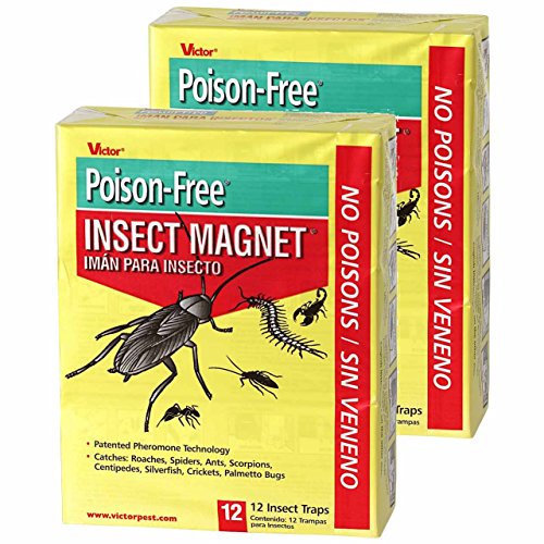 Victor M256 Poison-Free Insect Magnet Traps, 12-Pack (2 packages= 24 total)