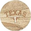 Thirstystone Natural Sandstone Set of 4 Coasters University of Texas