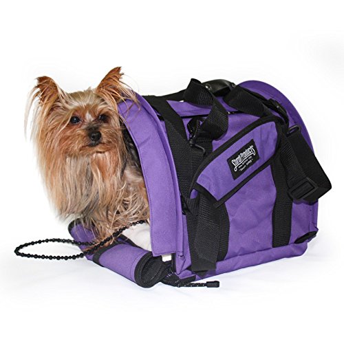 purple pet carrier