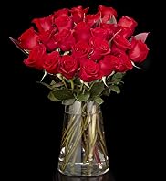 Autograph Two Dozen Freedom Red Roses