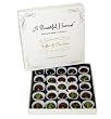 Citrus Cremes - Handmade Belgian Dark Chocolates - 25pc