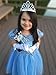 Cinderella Crystal Princess Party Costume Dress with Accessories