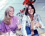 JACLYN SMITH 24X36 COLOR POSTER PRINT