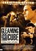DVD : Gleaming the Cube - T&ouml;dliches Risiko