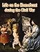 Life on the Homefront During the Civil War (Understanding the Civil War, 8)