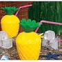 10oz Pineapple Cup with Lid