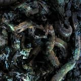 Poltergeist - Slurm ( Audio CD ) - B0039LMFTG