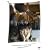 �����ƍ��z [DVD]