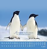 Image de Für meine Freundin 2017: aufstellbarer Postkartenkalender