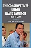 The Conservatives under David Cameron : built to last?