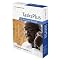 FranklinCovey TasksPlus For Outlook for PC
