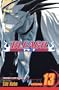 Bleach, Vol. 13