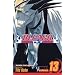 Bleach, Vol. 13