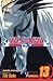 Bleach: v. 13