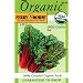 Ferry-Morse 3132 Organic Swiss Chard Seeds, Ruby (4.25 Gram Packet)