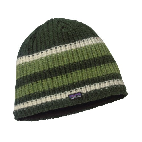 Patagonia Beanie SPEEDWAY, speedway stripe: forest g Preisvergleich