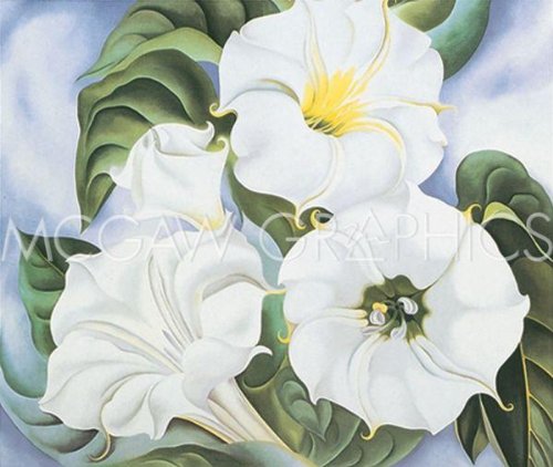 Bruce McGaw Jimson Weed, 1935 by Georgia O'Keeffe 7.75"x9.25" Art Print Poster