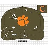 Clemson Tigers Paint Spill Fitted Hat