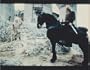 Ladyhawke Rutger Hauer Leo McKern 8x10 Photo