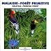 Sounds of Nature Malaysia: Primeval Forest