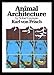 Animal Architecture
