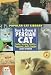 Search : Persian Cat (Popular Cat Library)