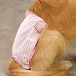 MEDIUM - PINK - ClearQuest Female Pup Pants MEDIUM - PINK - ClearQuest Female Pup Pants
