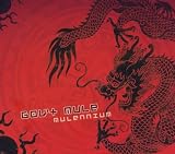 Gov't Mule - Mulennium