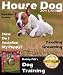 How to Train a House Dog | Grow a balanced dog