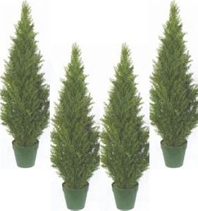 fake outdoor cedars