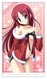 C.D.　Christmas Days  ことり on christmas ビッグタオル の評価・レビュー