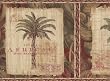 Black Palm Tree Wallpaper Border