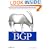 BGP: Building Reliable Networks with the Border Gateway Protocol