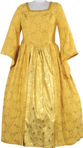 Plus Size Renaissance Lady Costume