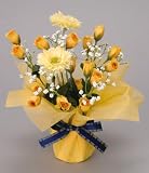 ���G�}�A�[�g�t�����[�@�`�Q�T�O�V�|�Q�T�@