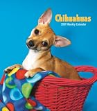 Chihuahuas 2009 Hardcover Weekly Engagement Calendar
