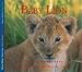 Book cover for 9781550417135