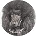 from Fridge Magnets Black Poodle-With Love Fridge Magnet Stocking Filler, Ref:AD-POD2uFM