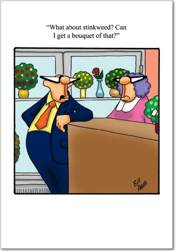 Stinkweed Bouquet Birthday Funny Card On Sale